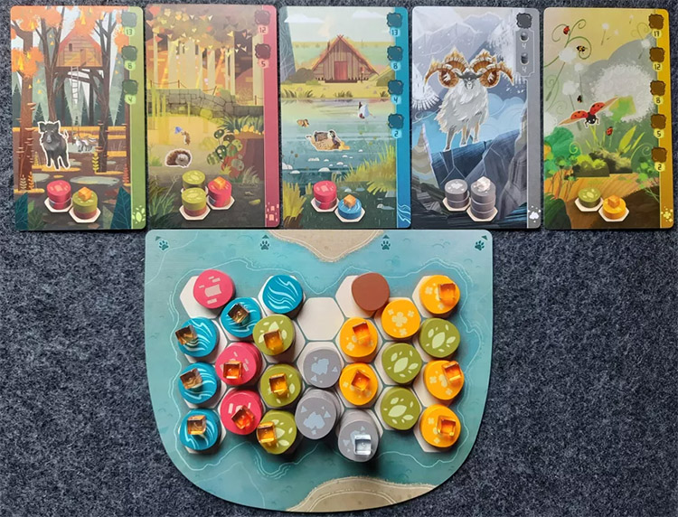 桌游《自然和弦》图片