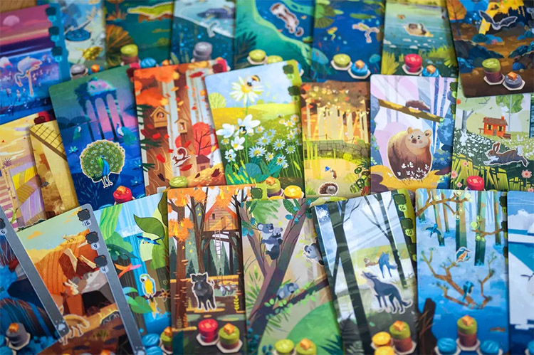 桌游《自然和弦》图片