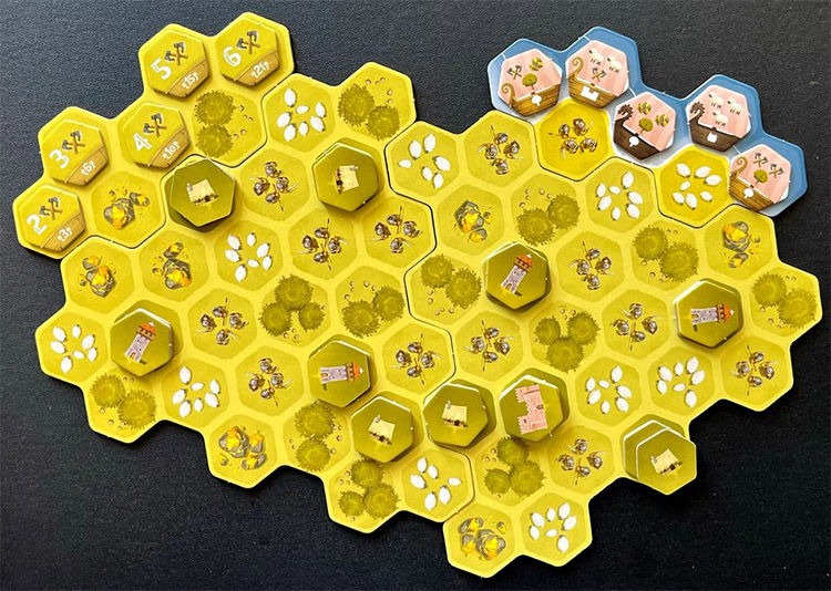 桌游《峡湾领主》图片