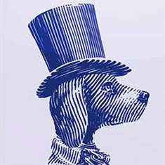 买货百科推荐最好玩的桌游－动物礼仪师